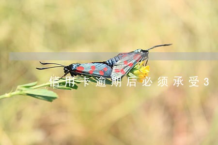 信用卡逾期后必须承受3个代价吗 信用卡逾期后必须承受3个代价吗