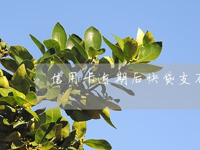 信用卡逾期后快贷支不出 信用卡逾期后快贷支不出