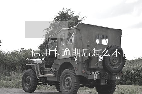 信用卡逾期后怎么不长利息