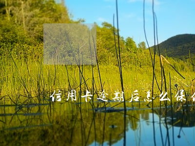信用卡逾期后怎么保住征信 信用卡逾期后怎么保住征信