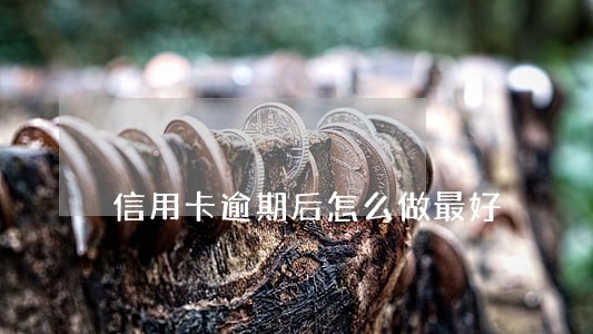 信用卡逾期后怎么做最好 信用卡逾期后怎么做最好