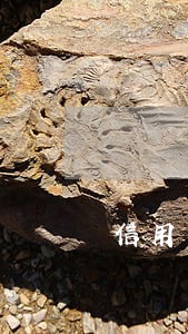 信用卡逾期后怎么分期 信用卡逾期后怎么分期