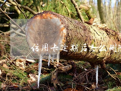 信用卡逾期后怎么删除 信用卡逾期后怎么删除