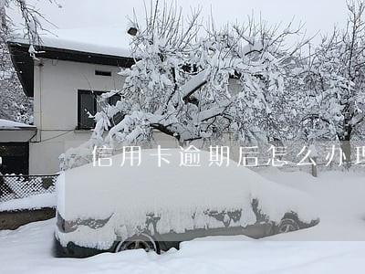 信用卡逾期后怎么办理