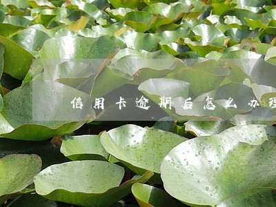 信用卡逾期后怎么办理停息分期 信用卡逾期后怎么办理停息分期