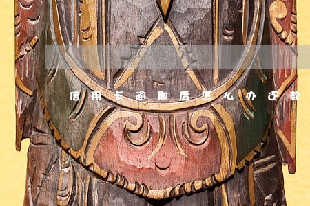 信用卡逾期后怎么办还款 信用卡逾期后怎么办还款