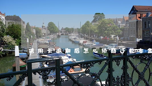 信用卡逾期后怎么协商还款本金 信用卡逾期后怎么协商还款本金
