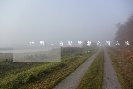 信用卡逾期后怎么可以恢复征信 信用卡逾期后怎么可以恢复征信