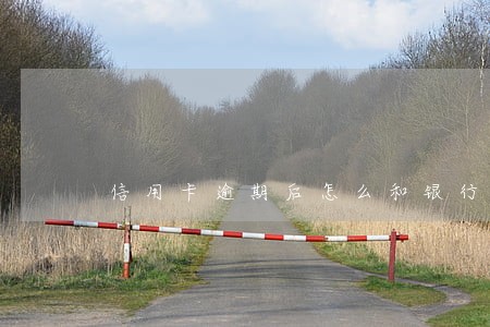 信用卡逾期后怎么和银行还款 信用卡逾期后怎么和银行还款