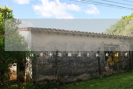 信用卡逾期后怎么处理才好 信用卡逾期后怎么处理才好