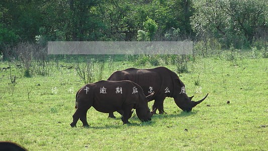 信用卡逾期后怎么度过