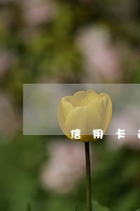 信用卡逾期后怎么恢复征信 信用卡逾期后怎么恢复征信