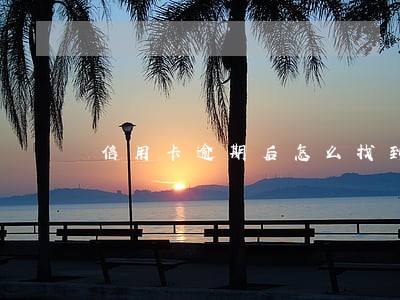 信用卡逾期后怎么找到还款凭证 信用卡逾期后怎么找到还款凭证