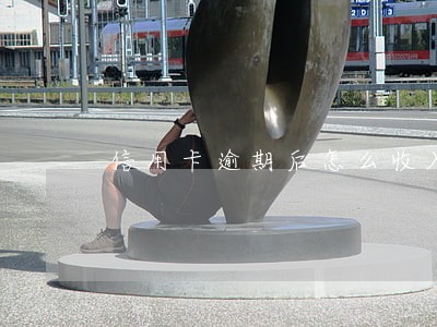 信用卡逾期后怎么收入 信用卡逾期后怎么收入