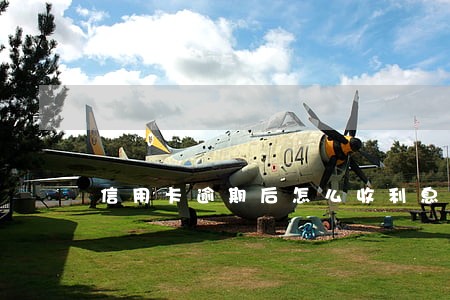 信用卡逾期后怎么收利息吗 信用卡逾期后怎么收利息吗