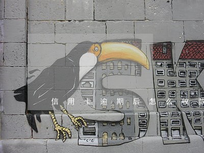 信用卡逾期后怎么收款 信用卡逾期后怎么收款