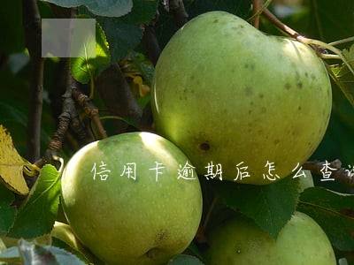 信用卡逾期后怎么查询卡锁没