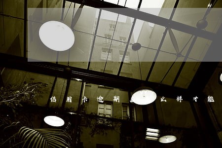 信用卡逾期后怎么样才能继续使用 信用卡逾期后怎么样才能继续使用