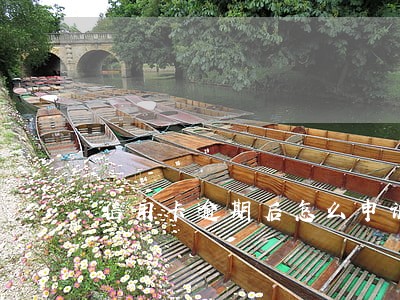 信用卡逾期后怎么申诉免息分期 信用卡逾期后怎么申诉免息分期