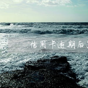 信用卡逾期后怎么申请分期