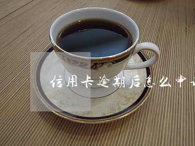 信用卡逾期后怎么申请延期还款 信用卡逾期后怎么申请延期还款