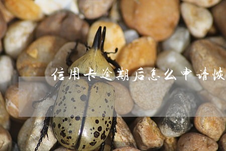 信用卡逾期后怎么申请恢复额度