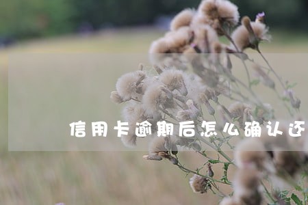 信用卡逾期后怎么确认还完 信用卡逾期后怎么确认还完