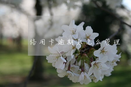 信用卡逾期后怎么管理