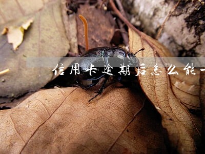 信用卡逾期后怎么能一次性还清
