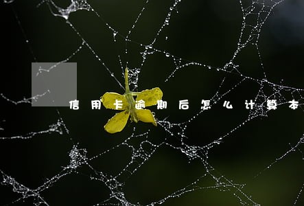 信用卡逾期后怎么计算本金 信用卡逾期后怎么计算本金