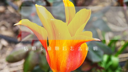 信用卡逾期后怎么证明 信用卡逾期后怎么证明