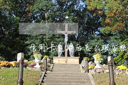 信用卡逾期后怎么跟客服说 信用卡逾期后怎么跟客服说