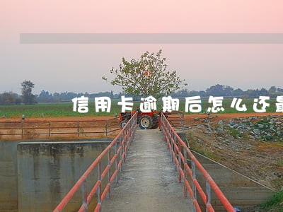 信用卡逾期后怎么还最省钱 信用卡逾期后怎么还最省钱