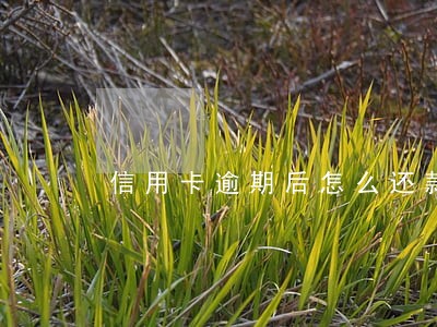 信用卡逾期后怎么还款正确方法 信用卡逾期后怎么还款正确方法