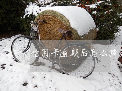 信用卡逾期后怎么避免还款 信用卡逾期后怎么避免还款