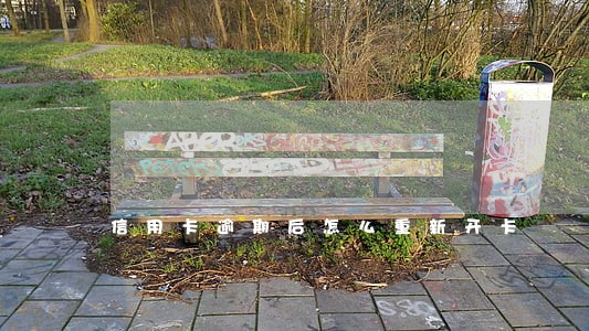 信用卡逾期后怎么重新开卡 信用卡逾期后怎么重新开卡