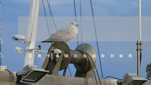 信用卡逾期后怎么降到最低 信用卡逾期后怎么降到最低