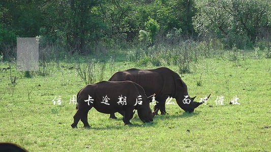 信用卡逾期后怎么面对催收 信用卡逾期后怎么面对催收