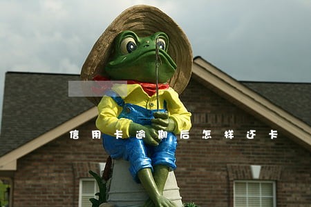 信用卡逾期后怎样还卡