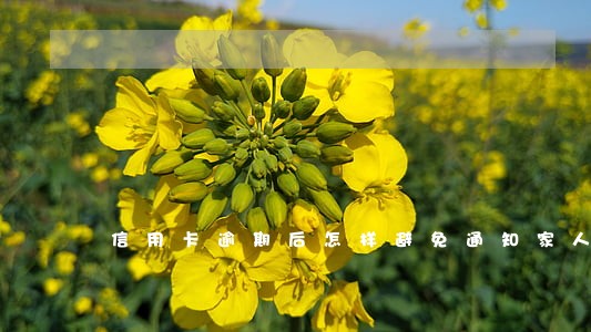 信用卡逾期后怎样避免通知家人 信用卡逾期后怎样避免通知家人