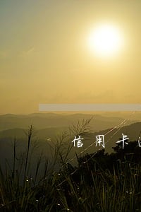 信用卡逾期后怎解决 信用卡逾期后怎解决