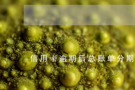 信用卡逾期后总账单分期 信用卡逾期后总账单分期