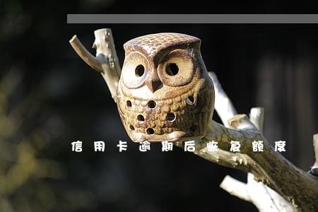 信用卡逾期后恢复额度 信用卡逾期后恢复额度