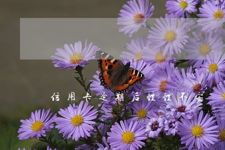 信用卡逾期后惶惶不安 信用卡逾期后惶惶不安