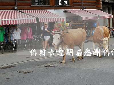 信用卡逾期后感谢信任