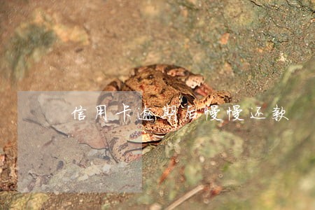 信用卡逾期后慢慢还款 信用卡逾期后慢慢还款