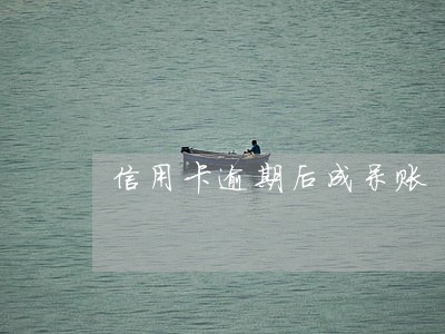 信用卡逾期后成呆账 信用卡逾期后成呆账