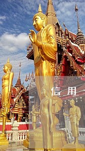 信用卡逾期后我每月还点可以吗 信用卡逾期后我每月还点可以吗