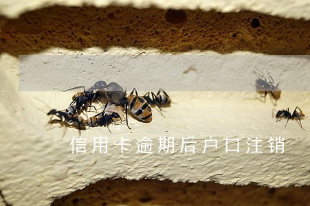 信用卡逾期后户口注销 信用卡逾期后户口注销