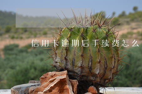 信用卡逾期后手续费怎么算 信用卡逾期后手续费怎么算